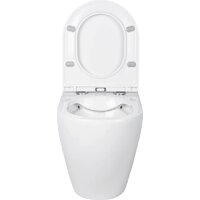 Унитаз приставной Roxen Antares 650185-01 Rimless Soft Close - Превью изображения №7 — Интернет-магазин ПроЗаказ