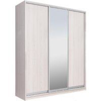 Рэйгрупп 203 YYX Elgon РГ-08.02 (ясень снежный/хром)