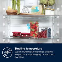 Холодильник Electrolux E7TNGE18S - Превью изображения №2 — Интернет-магазин ПроЗаказ