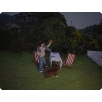 IP-камера TP-Link Tapo C460 - Превью изображения №10 — Интернет-магазин ПроЗаказ