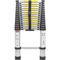 Лестница FORSAGE F-UP500F-UP500 (13 ступеней) - Превью изображения №2 — Интернет-магазин ПроЗаказ