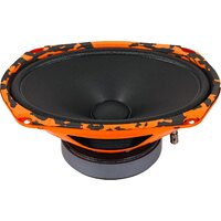 Мидбас DL Audio Gryphon Pro 69 Midbass - Превью изображения №2 — Интернет-магазин ПроЗаказ