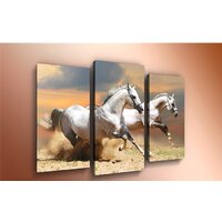 Arthata m-000324 120x80