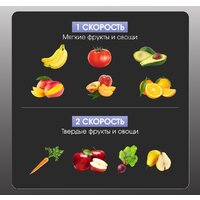 Соковыжималка Zigmund & Shtain EJ-757 - Превью изображения №4 — Интернет-магазин ПроЗаказ