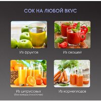 Соковыжималка Zigmund & Shtain EJ-757 - Превью изображения №9 — Интернет-магазин ПроЗаказ