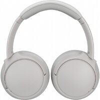 Наушники Panasonic RB-M600BE-C - Превью изображения №3 — Интернет-магазин ПроЗаказ