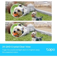 IP-камера TP-Link Tapo C420S1 - Превью изображения №3 — Интернет-магазин ПроЗаказ