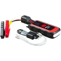 Портативное пусковое устройство Fubag Drive 600 46673 - Превью изображения №11 — Интернет-магазин ПроЗаказ