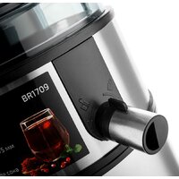 Соковыжималка Brayer BR1709 - Превью изображения №9 — Интернет-магазин ПроЗаказ