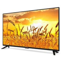 Телевизор Polarline 40PL11TC-SM (rev.2) - Превью изображения №2 — Интернет-магазин ПроЗаказ