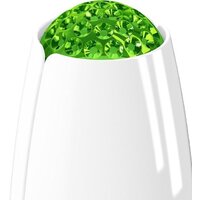 Очиститель воздуха Airfree Tulip 80 - Превью изображения №2 — Интернет-магазин ПроЗаказ