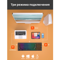 Клавиатура Royal Kludge RK100 RGB (черный, RK Red) - Превью изображения №8 — Интернет-магазин ПроЗаказ