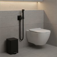 Гигиенический душ Lauter Rainix 21LT7712BM - Превью изображения №5 — Интернет-магазин ПроЗаказ