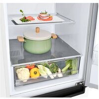 Холодильник LG DoorCooling+ GA-B509LQYL - Превью изображения №12 — Интернет-магазин ПроЗаказ