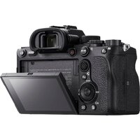 Беззеркальный фотоаппарат Sony Alpha a7R IVA Body - Превью изображения №5 — Интернет-магазин ПроЗаказ
