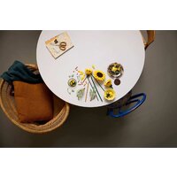 Конструктор LEGO Botanicals 11502 Букет подсолнухов - Превью изображения №7 — Интернет-магазин ПроЗаказ