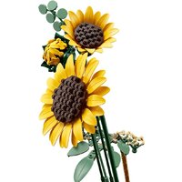 Конструктор LEGO Botanicals 11502 Букет подсолнухов - Превью изображения №4 — Интернет-магазин ПроЗаказ
