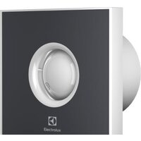 Electrolux Rainbow EAFR-120TH (темно-серый, таймер и гигростат)