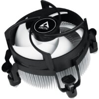 Arctic Alpine 17 ACALP00040A