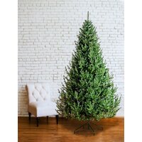 Ель GreenTerra Элоди 2.1 м - Превью изображения №4 — Интернет-магазин ПроЗаказ