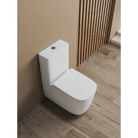 Унитаз напольный Cerutti Alvaro Tornado CT11089 - Превью изображения №4 — Интернет-магазин ПроЗаказ