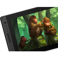 Графический монитор Huion Kamvas Pro 16 - Превью изображения №3 — Интернет-магазин ПроЗаказ