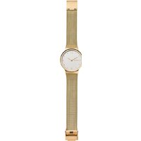 Наручные часы Skagen SKW2519 - Превью изображения №4 — Интернет-магазин ПроЗаказ