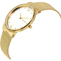 Наручные часы Skagen SKW2519 - Превью изображения №3 — Интернет-магазин ПроЗаказ