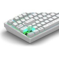 Клавиатура Dark Project ALU81A Terra Nova White (g3ms Moonstone) - Превью изображения №10 — Интернет-магазин ПроЗаказ