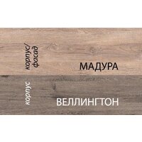 Книжный шкаф Anrex Diesel 1D1S/D1 Дуб Мадура/Веллингтон - Превью изображения №4 — Интернет-магазин ПроЗаказ