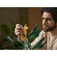 Конструктор LEGO Creator Expert 10289 Райская птица - Превью изображения №27 — Интернет-магазин ПроЗаказ