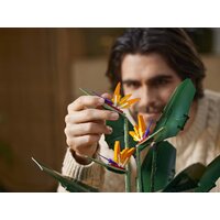 Конструктор LEGO Creator Expert 10289 Райская птица - Превью изображения №26 — Интернет-магазин ПроЗаказ
