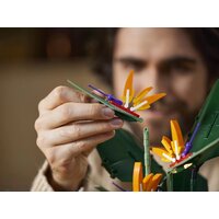 Конструктор LEGO Creator Expert 10289 Райская птица - Превью изображения №25 — Интернет-магазин ПроЗаказ