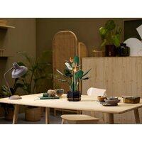 Конструктор LEGO Creator Expert 10289 Райская птица - Превью изображения №10 — Интернет-магазин ПроЗаказ
