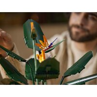 Конструктор LEGO Creator Expert 10289 Райская птица - Превью изображения №28 — Интернет-магазин ПроЗаказ