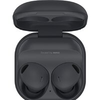 Наушники Samsung Galaxy Buds 2 Pro (графитовый) - Превью изображения №7 — Интернет-магазин ПроЗаказ