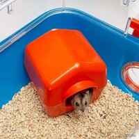 Клетка Ferplast Combi 2 57932599 - Превью изображения №4 — Интернет-магазин ПроЗаказ