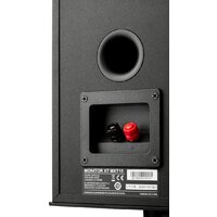 Полочная акустика Polk Audio Monitor XT15 - Превью изображения №4 — Интернет-магазин ПроЗаказ