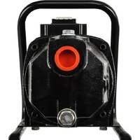 Садовый насос Quattro Elementi Giardino 1000 Ci - Превью изображения №5 — Интернет-магазин ПроЗаказ