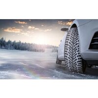 Зимние шины Nokian Tyres Hakkapeliitta 9 225/55R17 101T (шипы) - Превью изображения №3 — Интернет-магазин ПроЗаказ