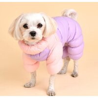 Комбинезон для животных Puppia Ultra Light Pastel PAUD-JP1675-PK-XL (розовый/сиреневый) - Превью изображения №3 — Интернет-магазин ПроЗаказ