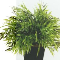 Душевой уголок Triton Дека 100x100 (хром, с поддоном) - Превью изображения №4 — Интернет-магазин ПроЗаказ