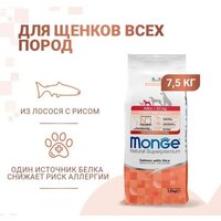 Сухой корм для собак Monge Speciality Line Mini Puppy and Junior Monoprotein с лососем и рисом 7.5 кг - Превью изображения №2 — Интернет-магазин ПроЗаказ