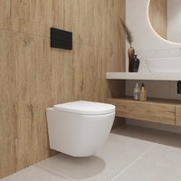 Унитаз подвесной Lauter Vortex 2110830 + GROHE Rapid SL 39504000 с кнопкой (округлая, хром) - Превью изображения №13 — Интернет-магазин ПроЗаказ