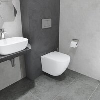 Унитаз подвесной Lauter Vortex 2110830 + GROHE Rapid SL 39504000 с кнопкой (округлая, хром) - Превью изображения №20 — Интернет-магазин ПроЗаказ