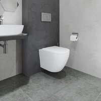 Унитаз подвесной Lauter Vortex 2110830 + GROHE Rapid SL 39504000 с кнопкой (округлая, хром) - Превью изображения №18 — Интернет-магазин ПроЗаказ