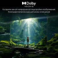 OLED телевизор Digma Pro OLED 55M - Превью изображения №14 — Интернет-магазин ПроЗаказ