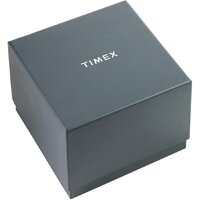 Наручные часы Timex TW2W32200 - Превью изображения №6 — Интернет-магазин ПроЗаказ