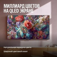 Телевизор Яндекс ТВ Станция MiniLED с Алисой 65 - Превью изображения №9 — Интернет-магазин ПроЗаказ