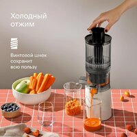 Соковыжималка Tuvio TJ04PM - Превью изображения №3 — Интернет-магазин ПроЗаказ